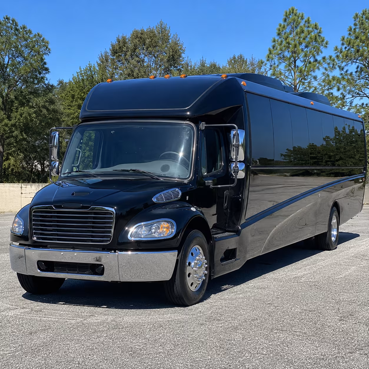 el cajon 18 passenger minibus